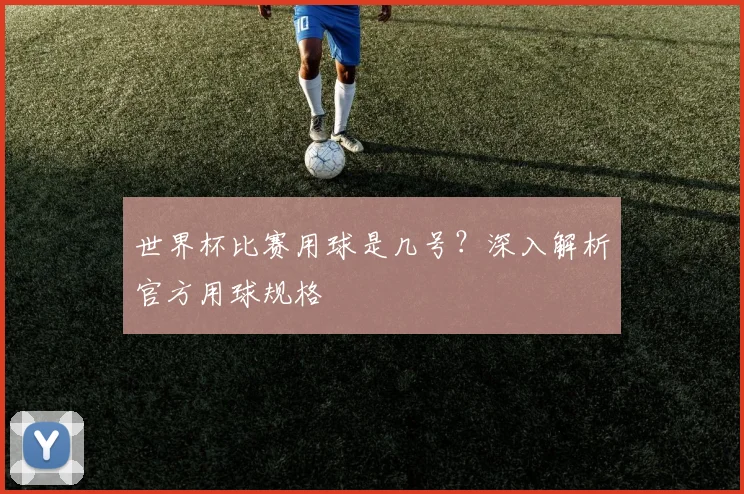 世界杯比赛用球是几号？深入解析官方用球规格