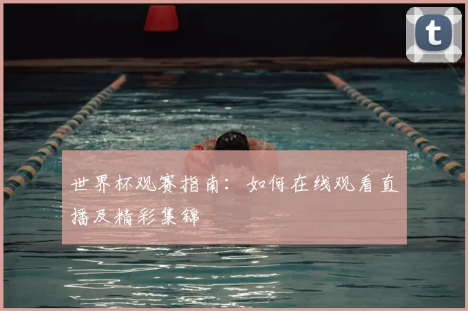 世界杯观赛指南：如何在线观看直播及精彩集锦